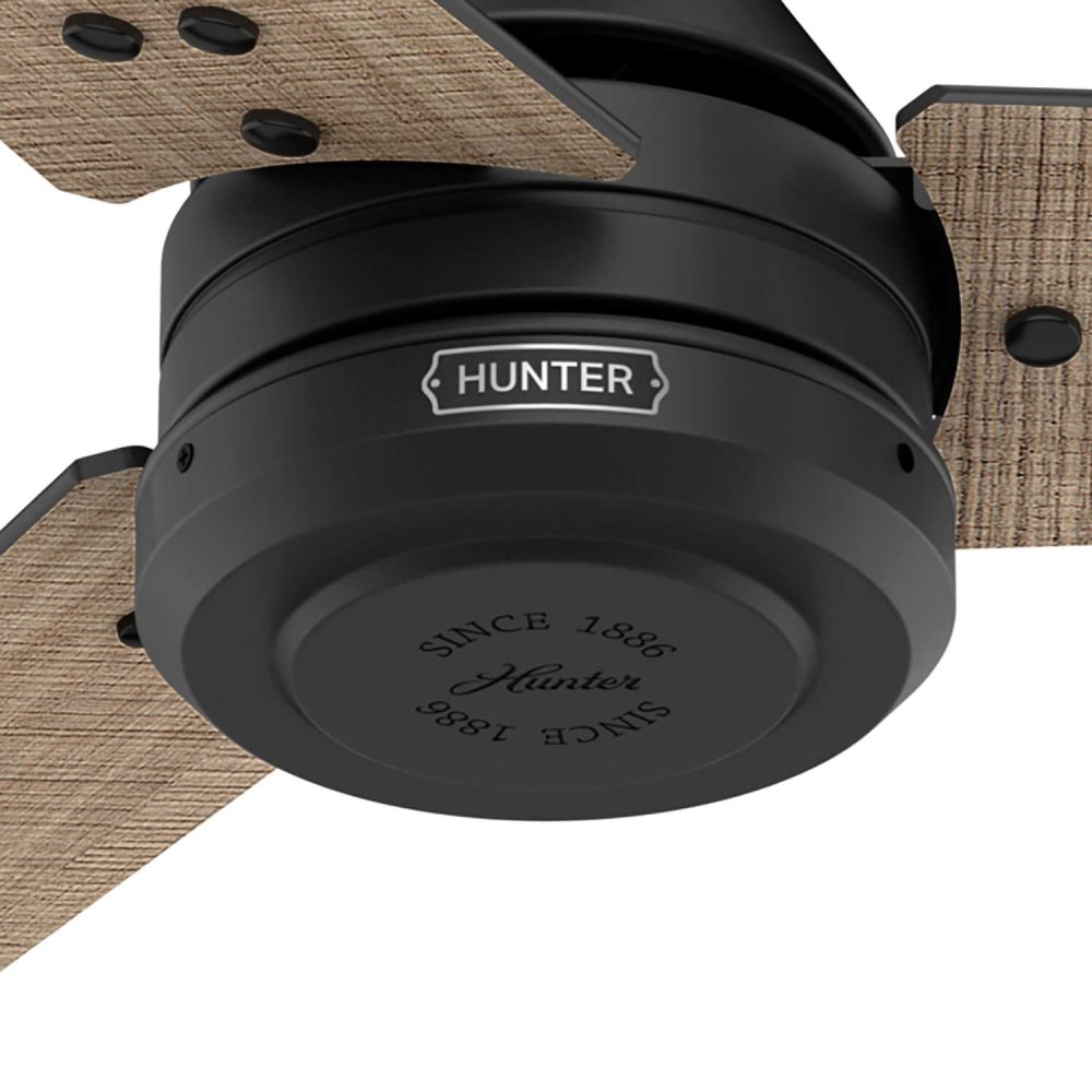 Hunter 52979 Cassius 60 inch 3 Blade Ceiling Fan in Matte Black