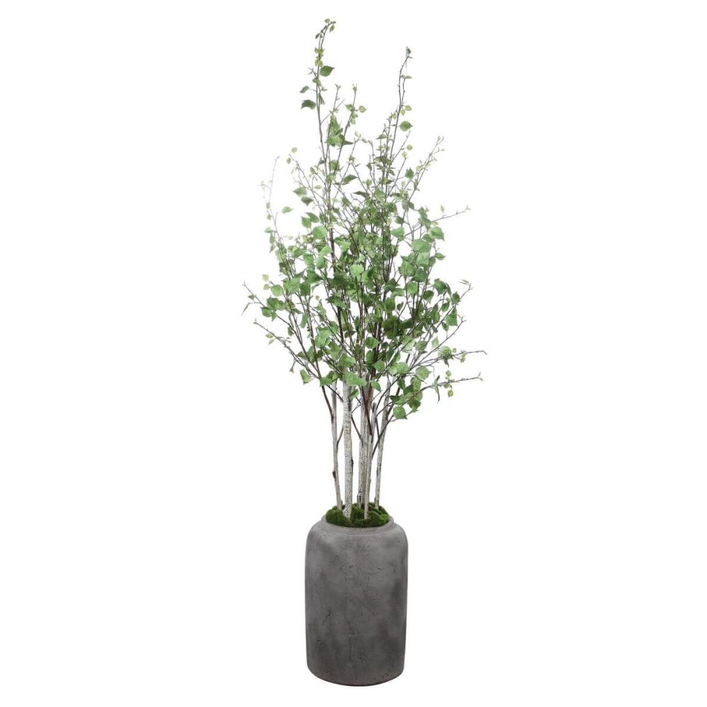 Aldis River Birch Aged Stone