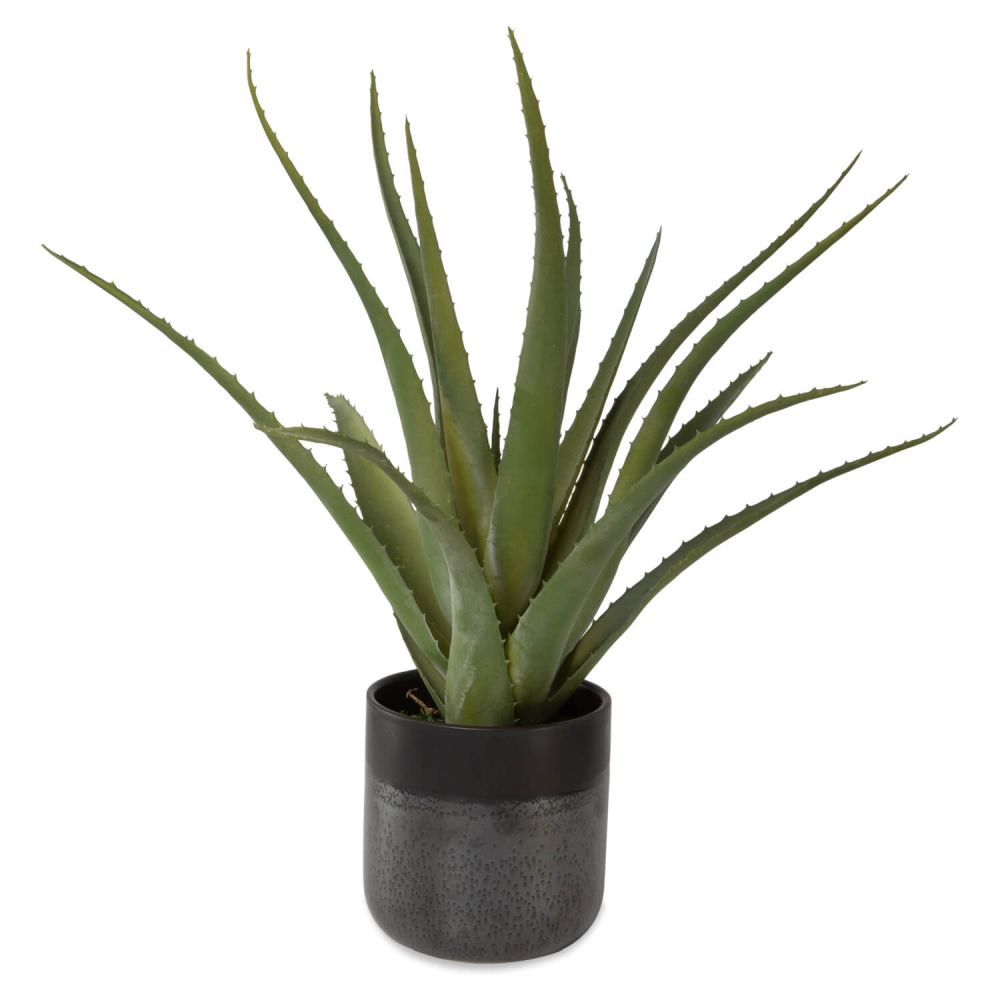 fake hanging succulent plants Set of 3 main image 1